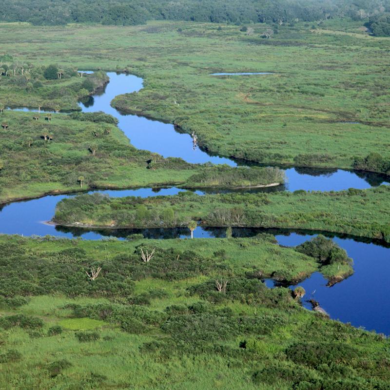 Riverwoods Field Lab